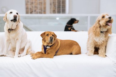 Our Easter Family Package - £129 portfolio photo