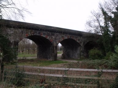 Our Photographer in Tamworth portfolio photo