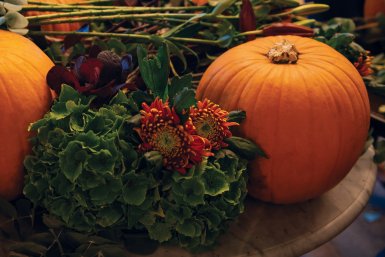 Our A Spooktacular Photo and Video Deal portfolio photo