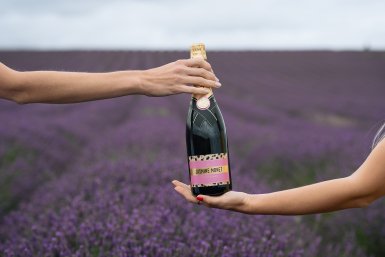 Our A Superb Black Friday and Cyber Monday Offer from Splento portfolio photo