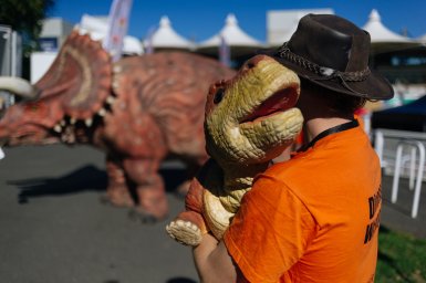 Our Festival Photographer in the US portfolio photo