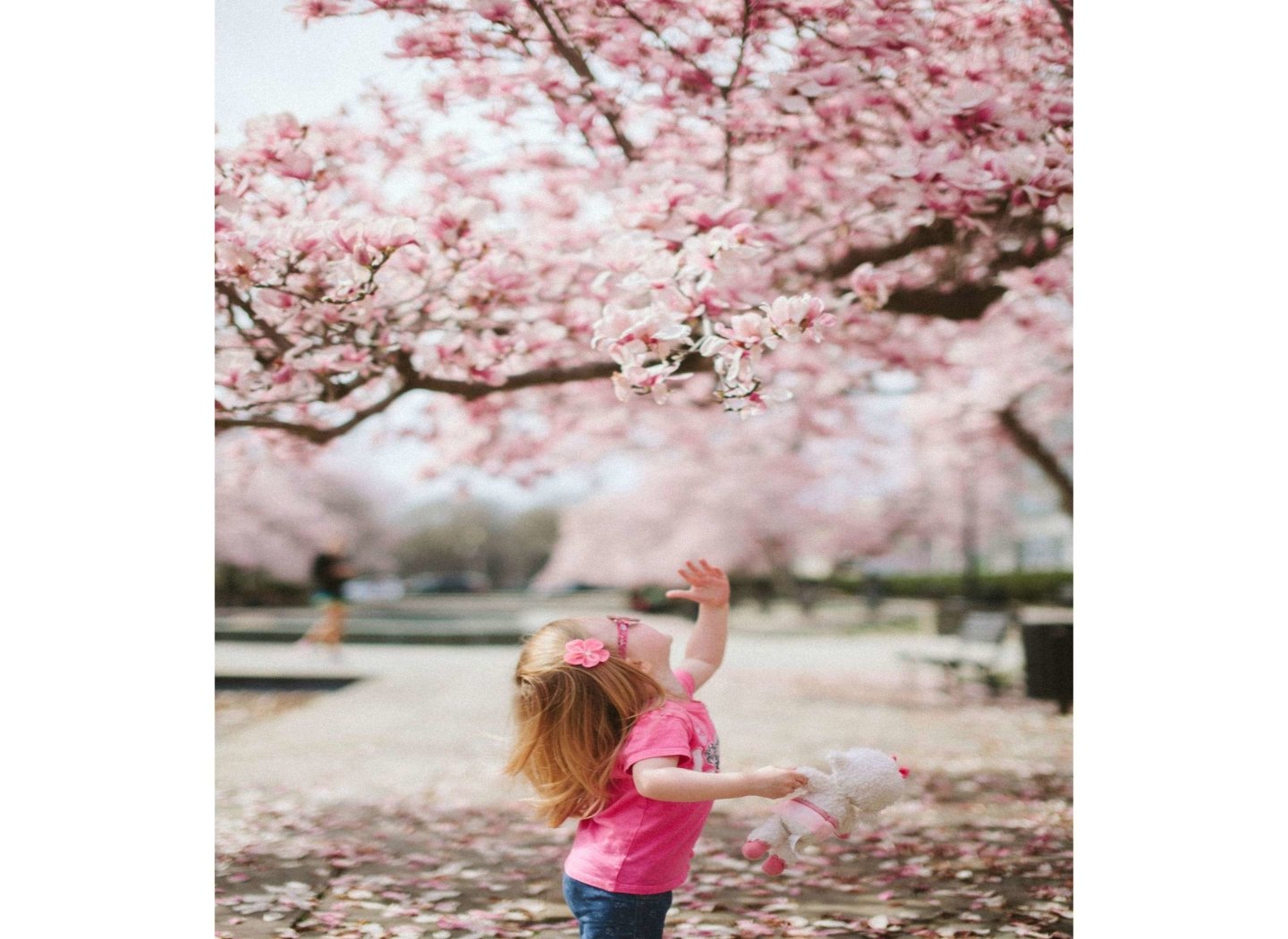 Child-picking-blossom