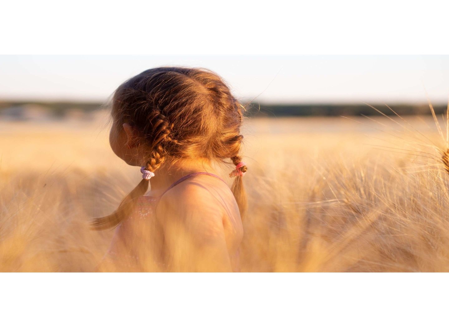 kid-in-wheat-field