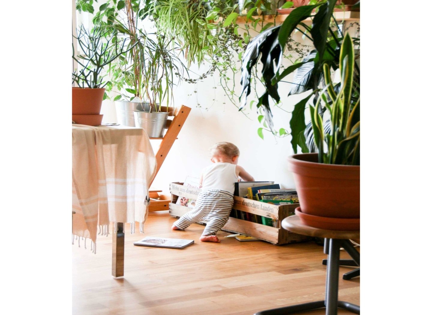 baby-standing-up-searching
